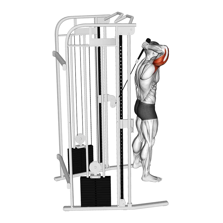 Cable Overhead Single Arm Triceps Extension (rope attachment) exercise animation (Male)