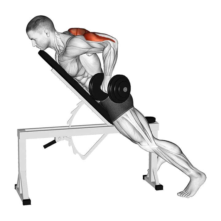 Dumbbell Prone Triceps Kickback exercise animation (Male)