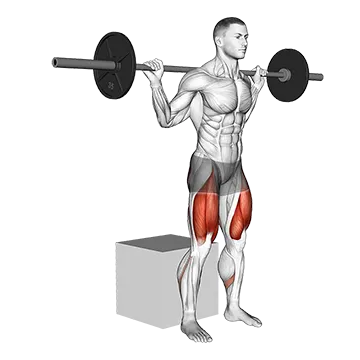 Barbell Box Squat