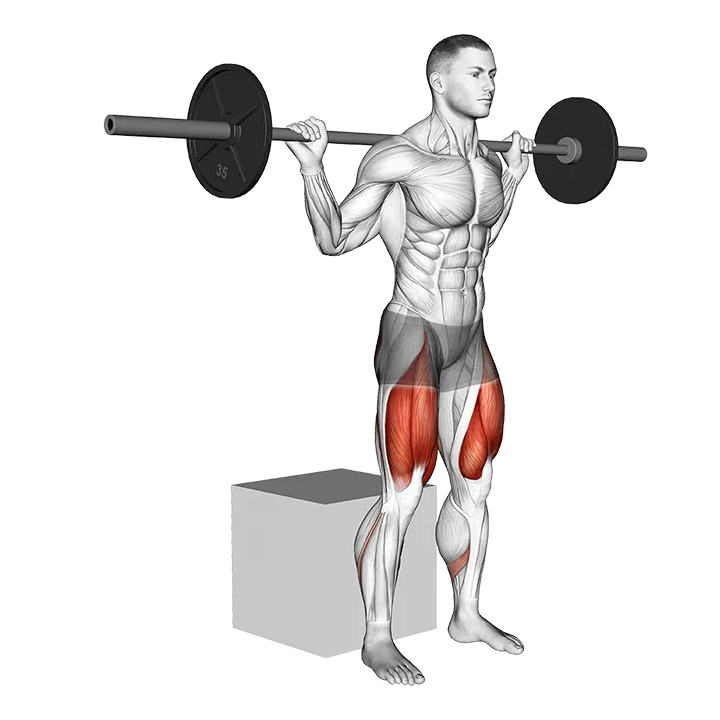 Barbell Box Squat exercise animation (Male)