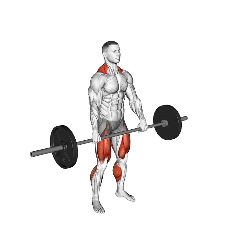 Jump Shrug exercise animation (Male)