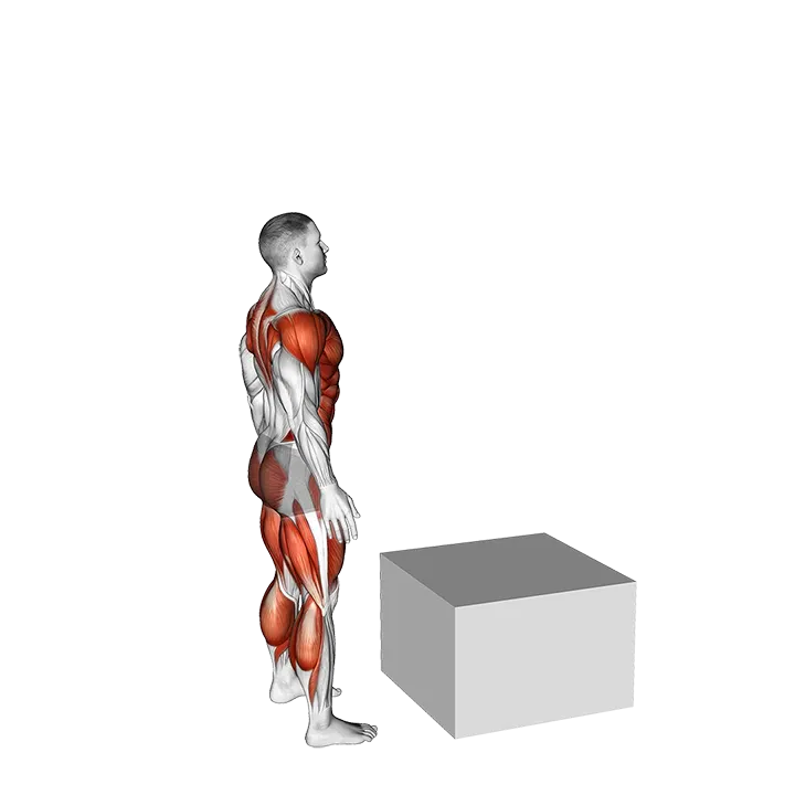 Jump Box exercise animation (Male)