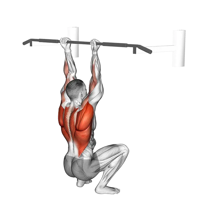 Assisted Chin-up (squat position) exercise animation (Male)