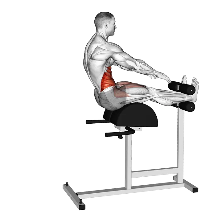 Decline Sit-up and Russian Twist exercise animation (Male)