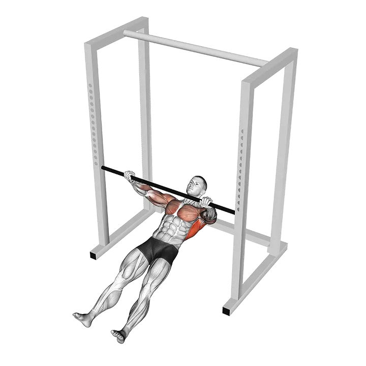 Inverted Row Slide on Floor exercise animation (Male)