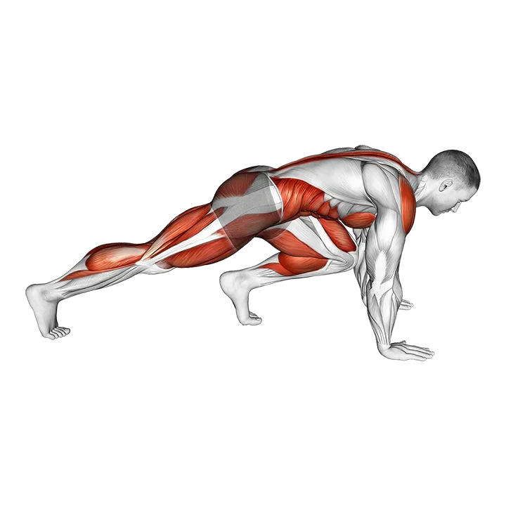 Mountain Climber Jump exercise animation (Male)