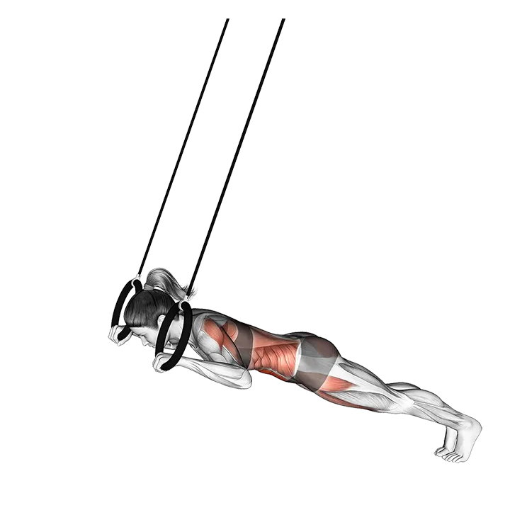 Ring Alternate Superman exercise animation (Female)