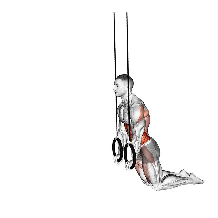 Ring Kneeling Ab RollOut exercise animation (Male)