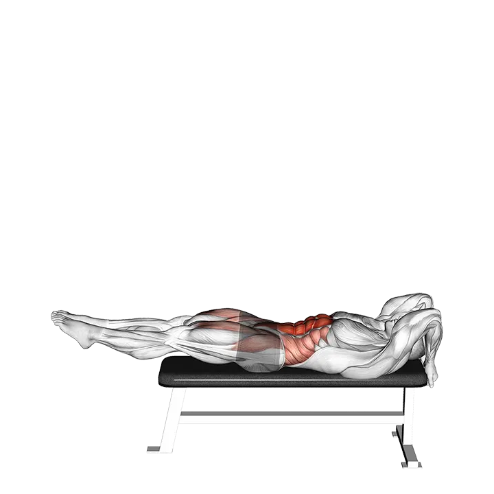 Negative Dragon Flag exercise animation (Male)