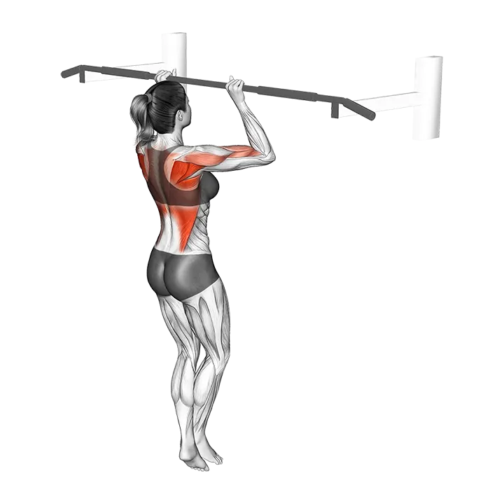 Top Pull-up Hold exercise animation (Female)