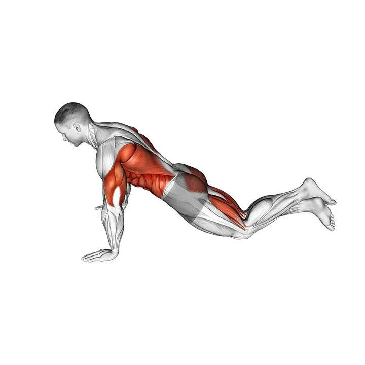 Kneeling Modified Hindu Push-up exercise animation (Male)
