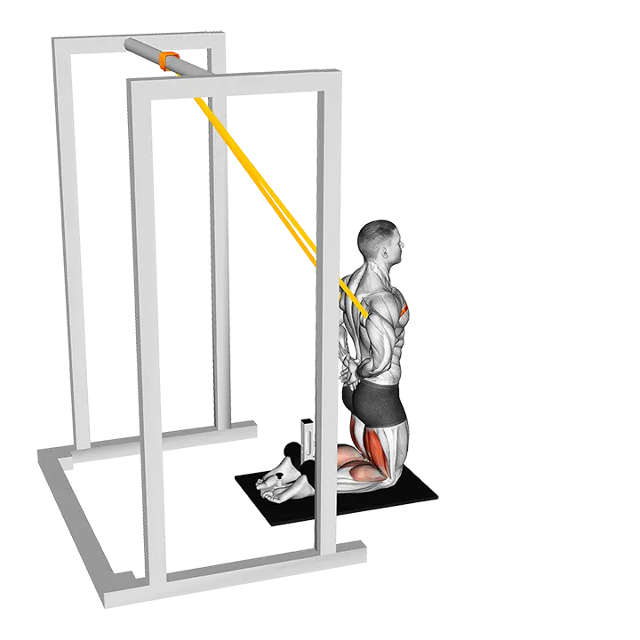 Band Assisted Floor Glute Ham Raise exercise animation (Male)
