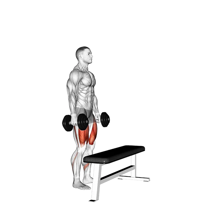 Dumbbell Step-up (VERSION 2) exercise animation (Male)