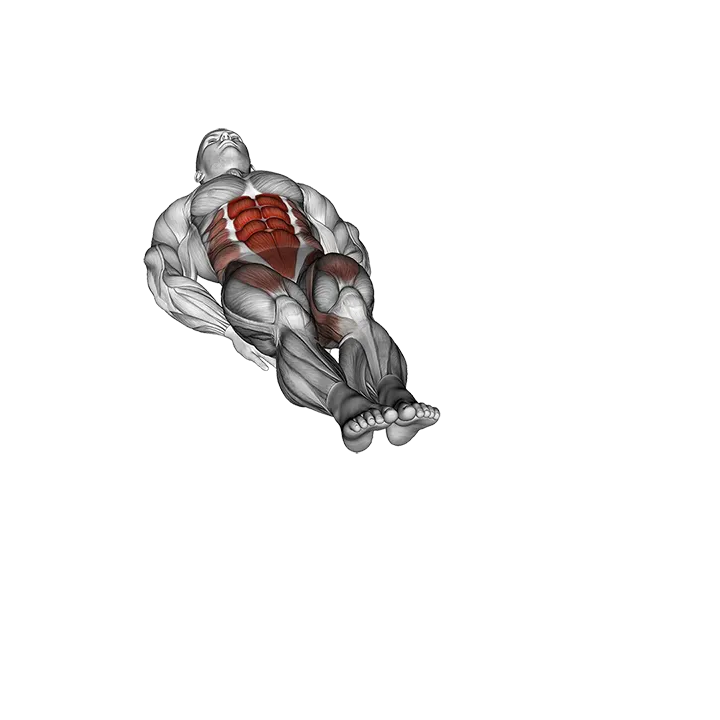 Lying Leg Figure Eight exercise animation (Male)