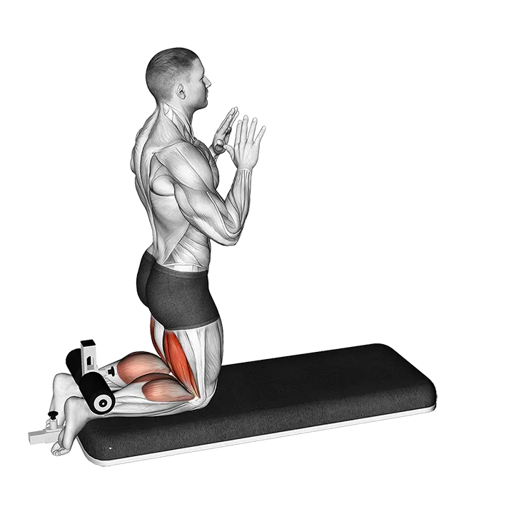 Inverse Leg Curl with Bench Pads exercise animation (Male)