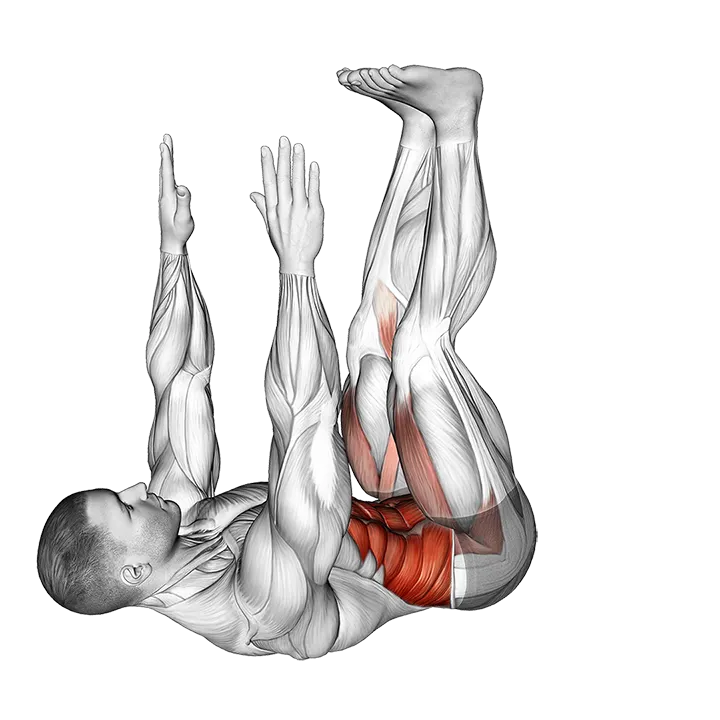 Opposite Crunch exercise animation (Male)