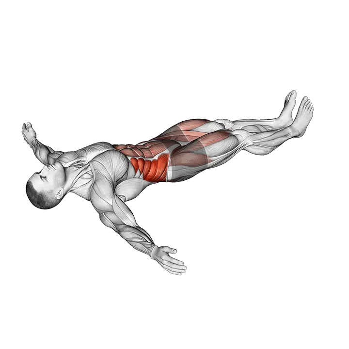 Lying Leg Cross exercise animation (Male)