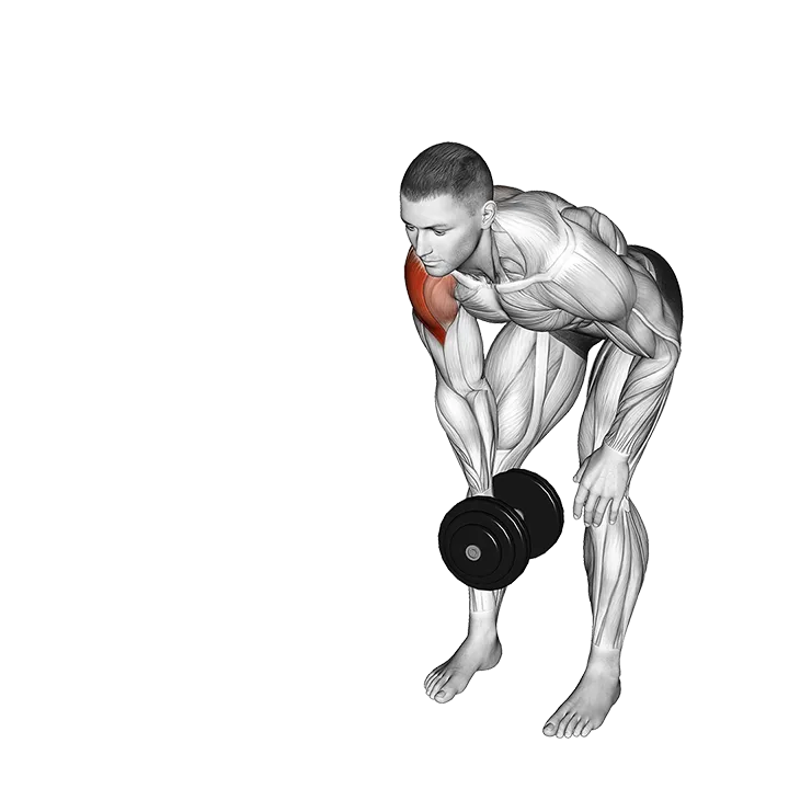 Dumbbell One Arm Y Elevation exercise animation (Männlich)