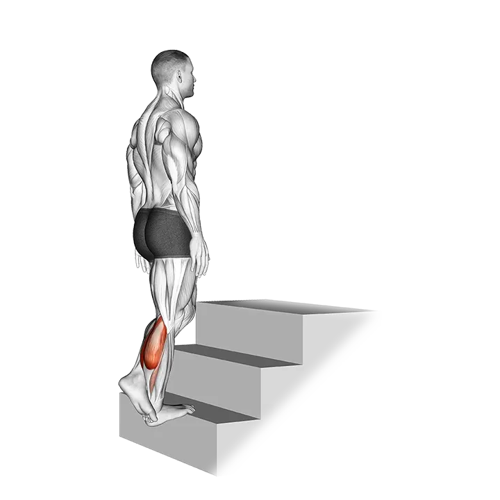 Standing Single Leg Calf Raise (On a staircase) exercise animation (Male)