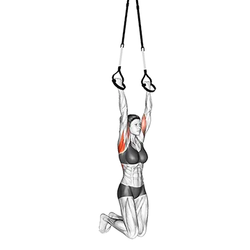 Suspension Chin up