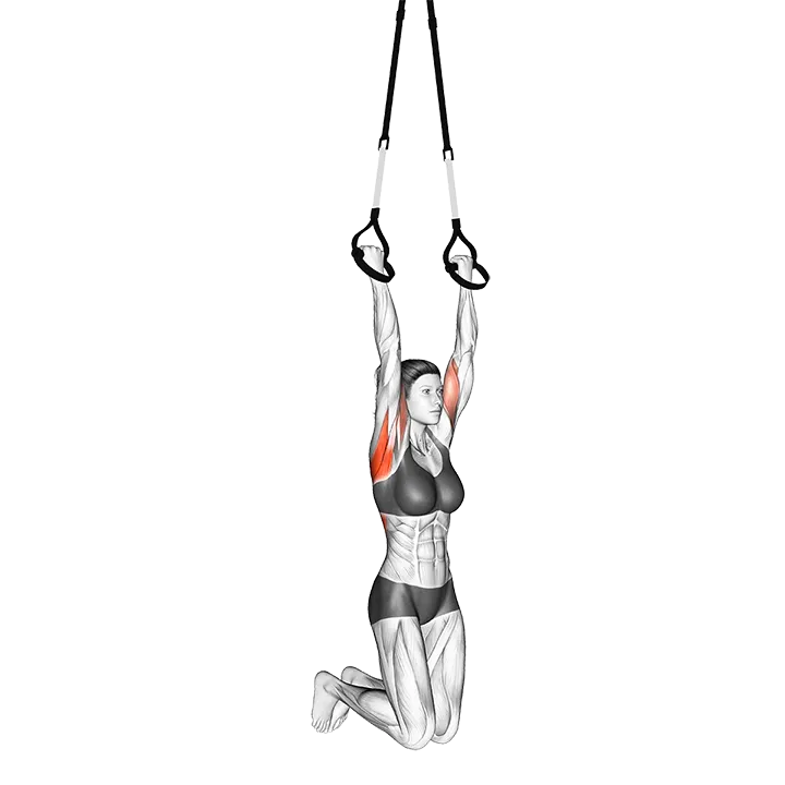 Suspension Chin Up exercise animation (Female)