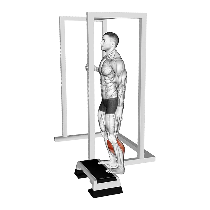 Elevated Standing Calf Raise exercise animation (Male)