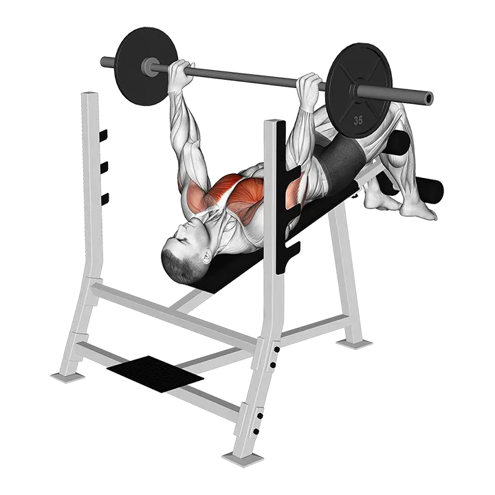 Barbell Pause Decline Bench Press exercise animation (Male)