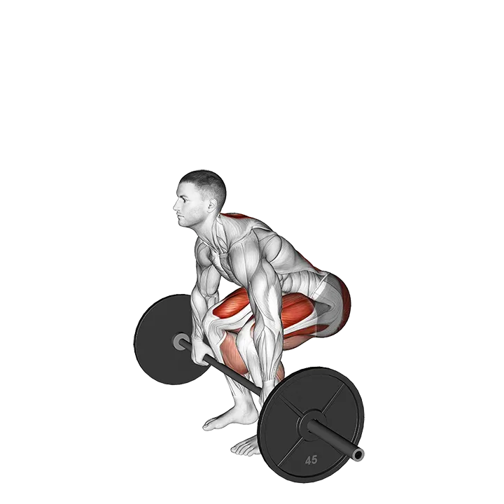 Barbell Pause Deadlift exercise animation (Male)
