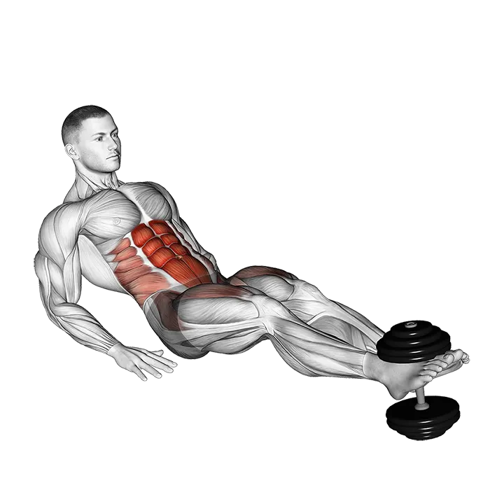 Weighted Seated Leg Raise on Floor exercise animation (Männlich)