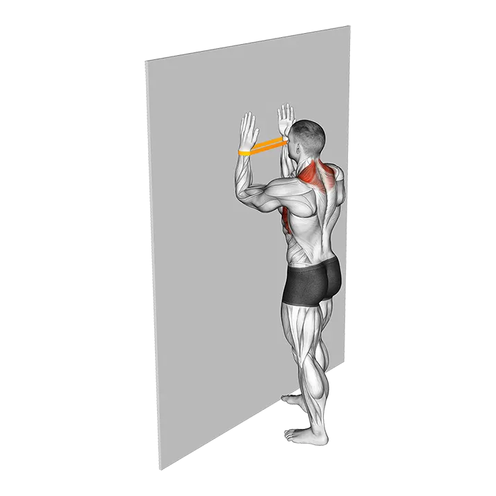 Resistance Band Serratus Wall Slide exercise animation (Male)