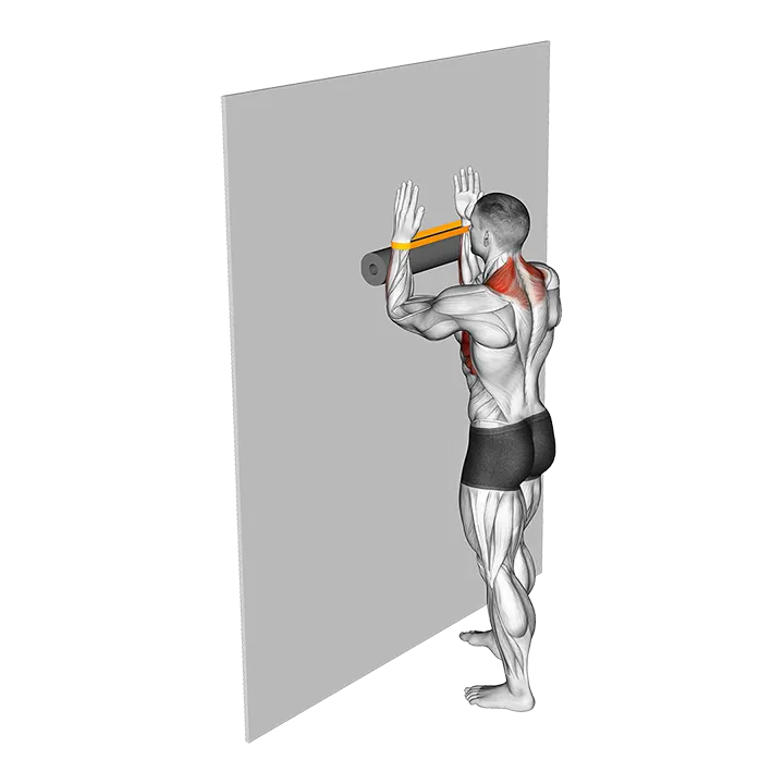 Resistance Band Serratus Wall Slide with Foam Roll exercise animation (Male)