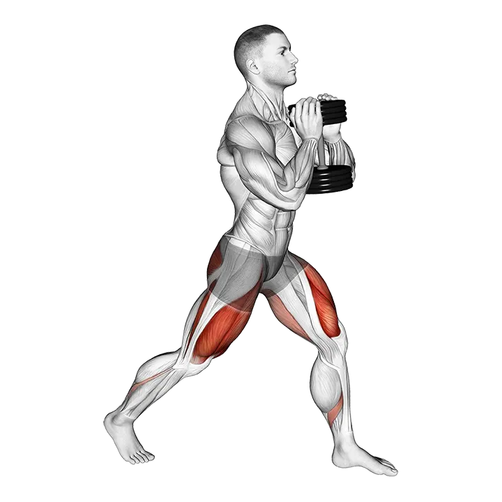 Dumbbell Goblet Split Squat exercise animation (Male)