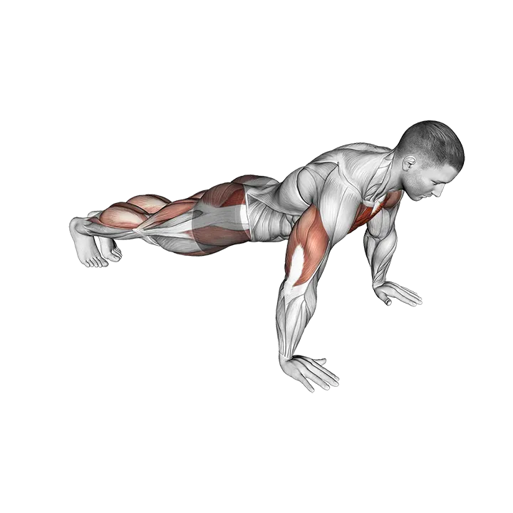 Push-up Jack exercise animation (Male)