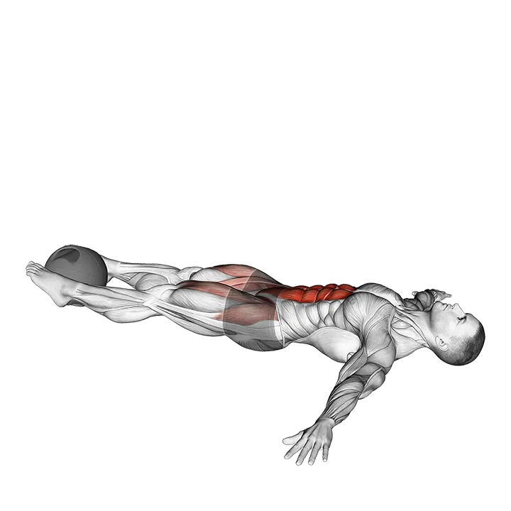 Medicine Ball Lying Leg Raise exercise animation (Männlich)