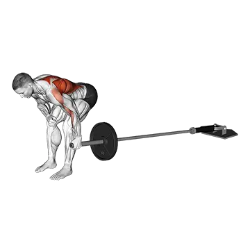 Landmine One Arm Bent Over Row (Version 2)