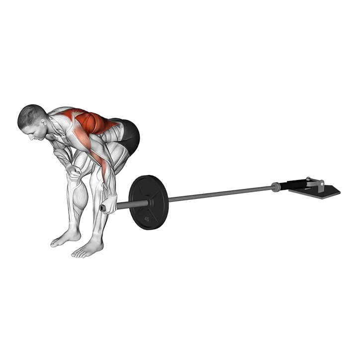 Landmine One Arm Bent Over Row (Version 2) exercise animation (Male)