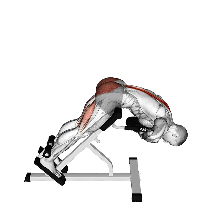 Weighted Hyperextension exercise animation (Hombre)