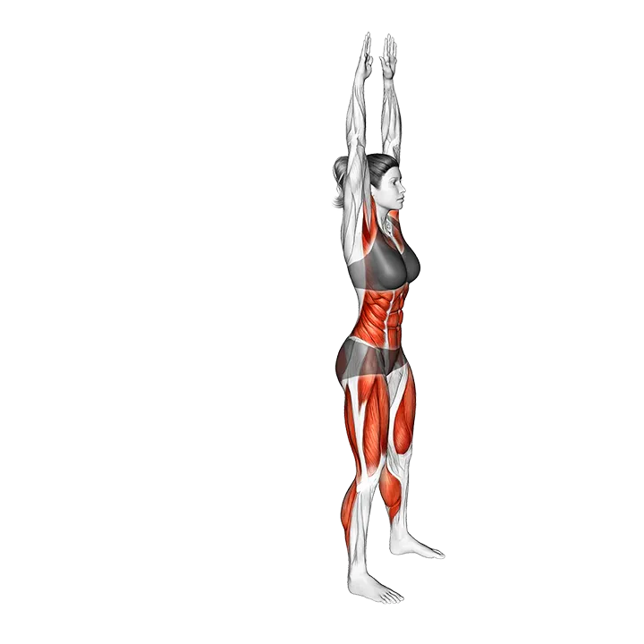 Silent Burpee exercise animation (Female)