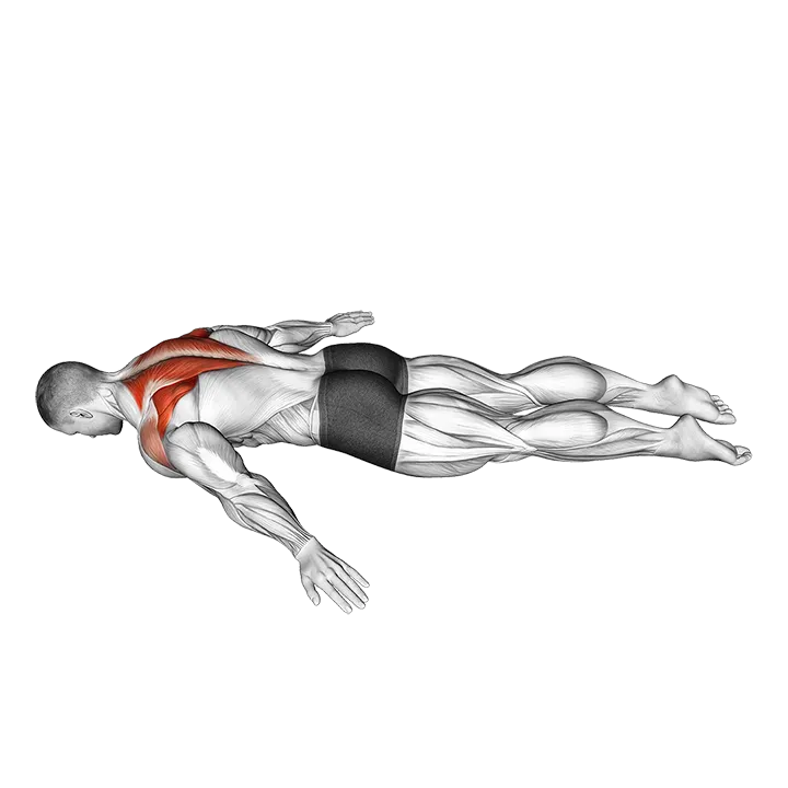 Lying Prone A exercise animation (Male)