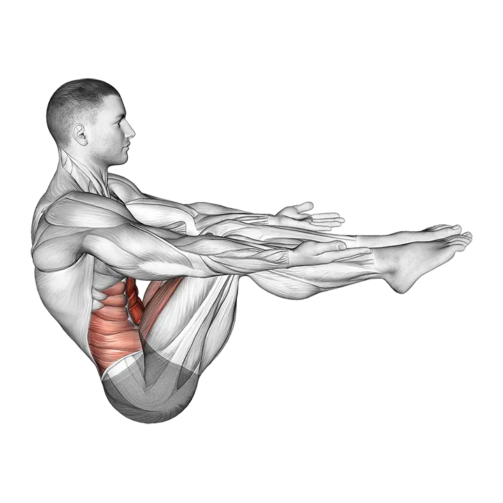 V Sit Toe Tap exercise animation (Male)
