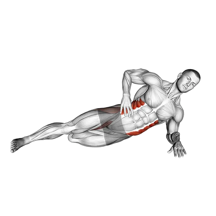 Side Bridge with Bent Leg exercise animation (Male)