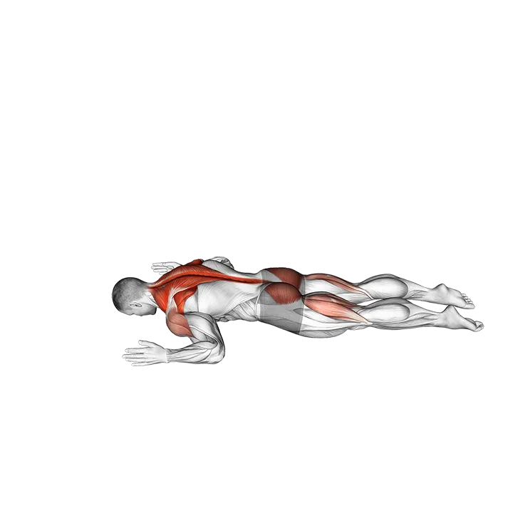 Superman W to Y exercise animation (Male)