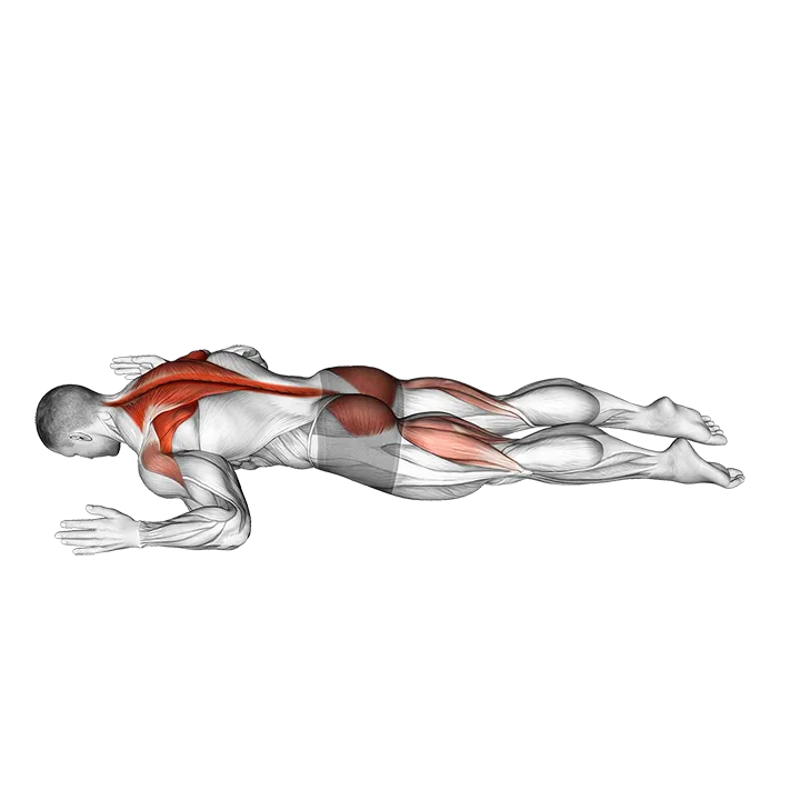 Superman W exercise animation (Male)