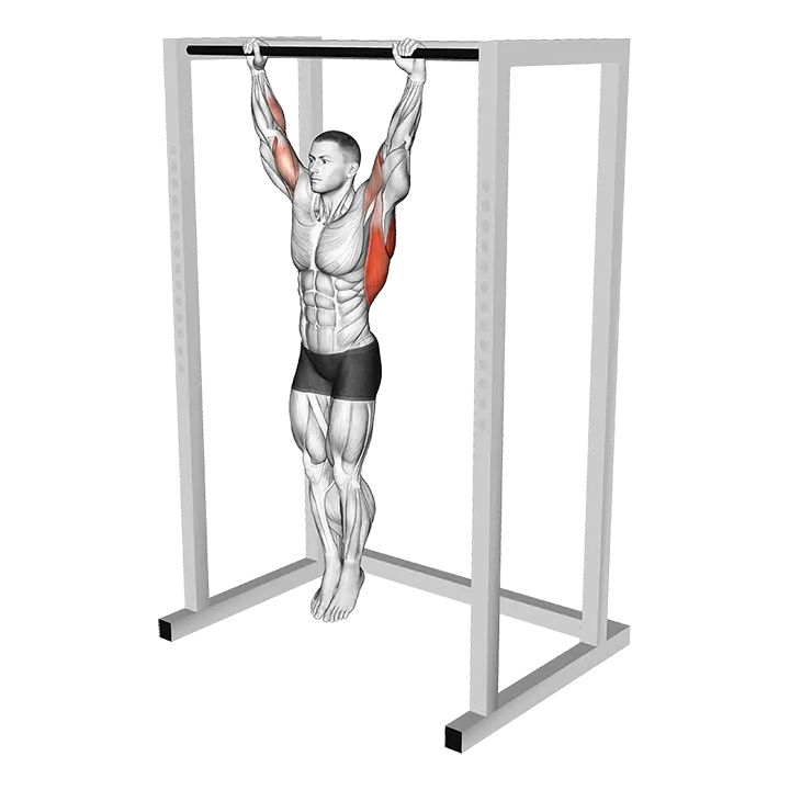 Dead Hang Stretch exercise animation (Male)