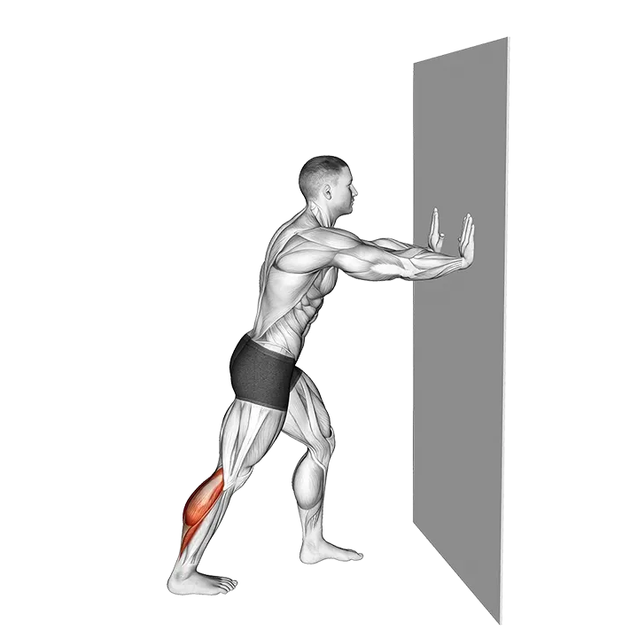 Heel Press exercise animation (Male)