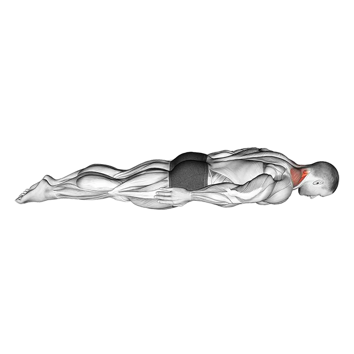 Prone Cervical Extension exercise animation (Male)