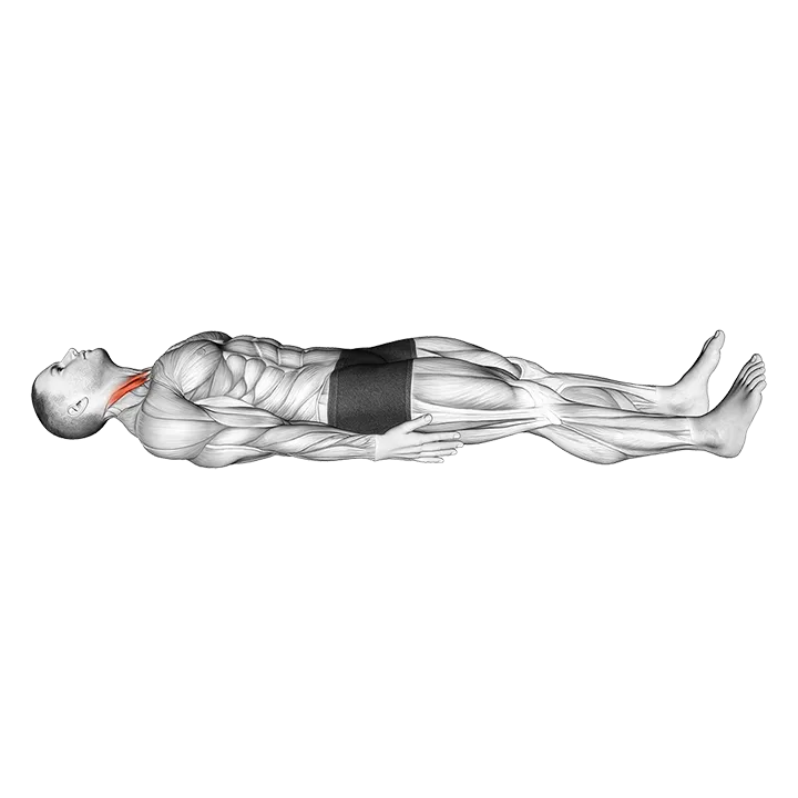 Lying Chin Tucks exercise animation (Male)