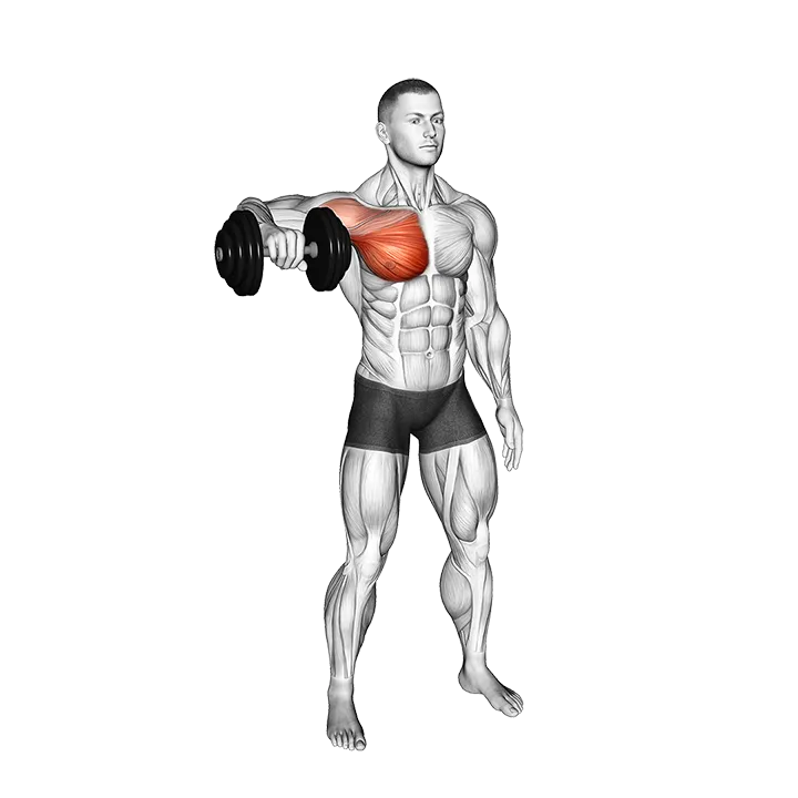 Dumbbell Shoulder Internal Rotation at 90 Abduction exercise animation (Male)