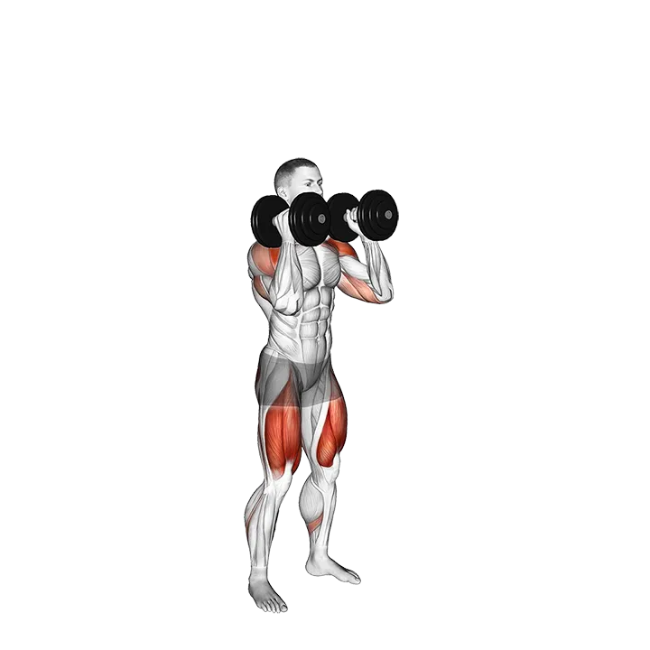 Dumbbell Squat to Overhead Press exercise animation (Male)