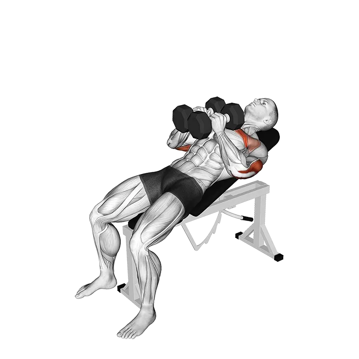 Dumbbell Incline Squeeze Press exercise animation (Male)